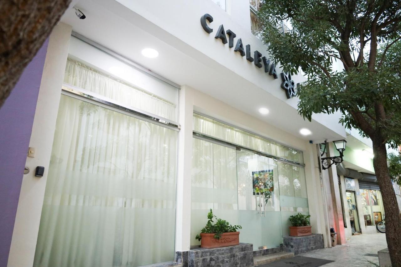 Cataleya Hotel サントドミンゴ エクステリア 写真